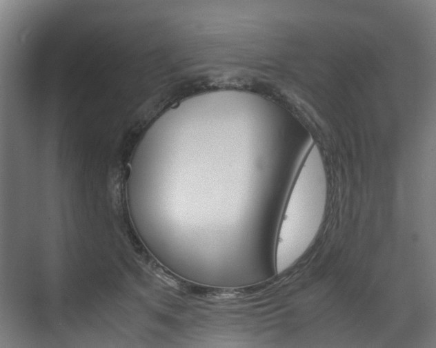 X0000075840513200609150915