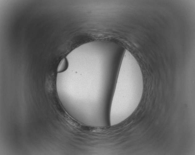 X0000075840515200609150915