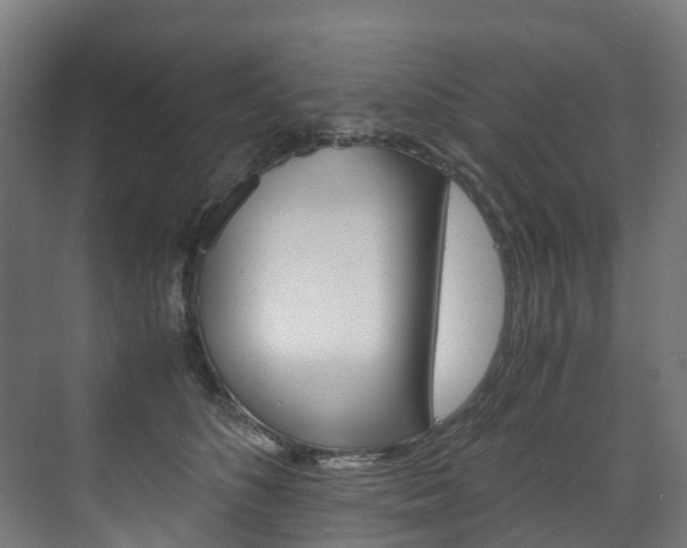 X0000075840516200609150915