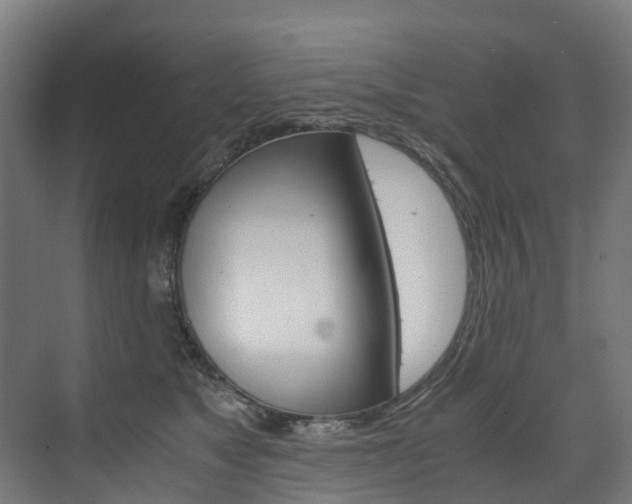 X0000075840517200609150915