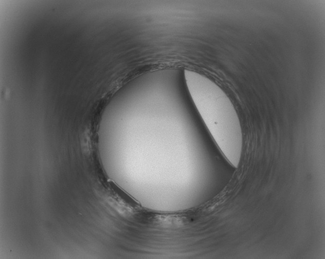 X0000075840520200609150915