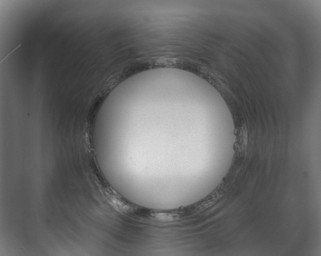 X0000075840522200609150915