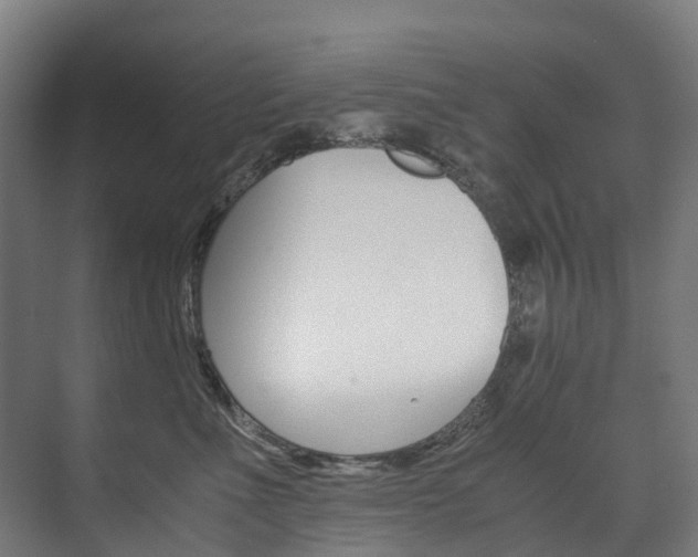 X0000075840523200609150915