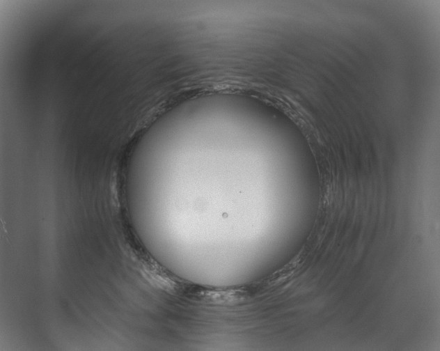 X0000075840524200609150915