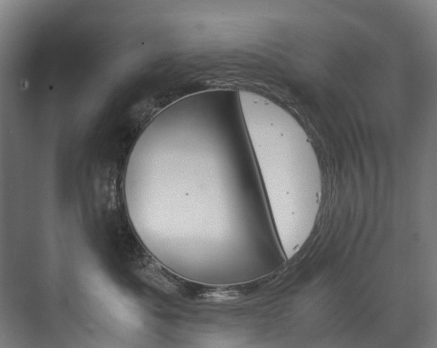 X0000075840525200609150915