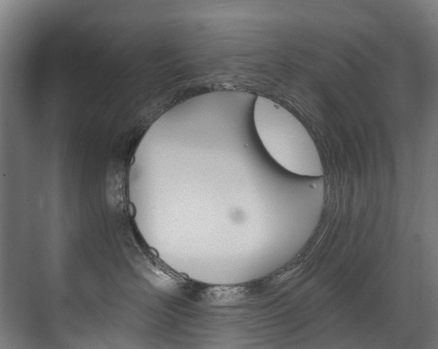 X0000075840526200609150915