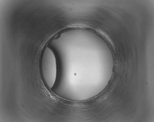 X0000075840529200609150914