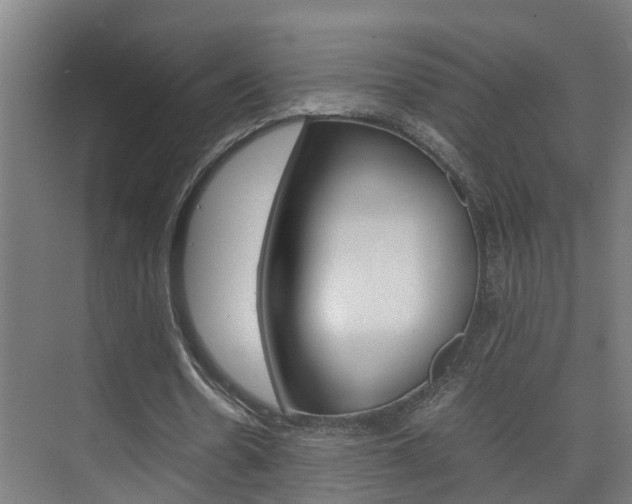 X0000075840530200609150914