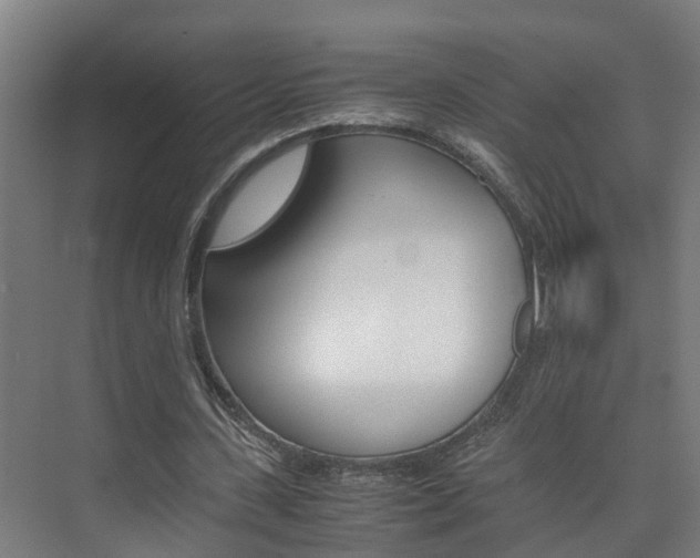 X0000075840531200609150914