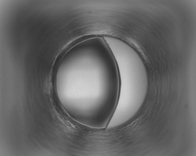 X0000075840532200609150914