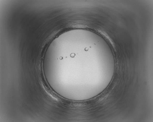 X0000075840533200609150914