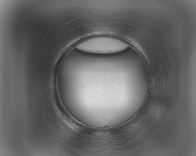 X0000075840535200609150914