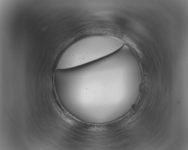 X0000075840537200609150914