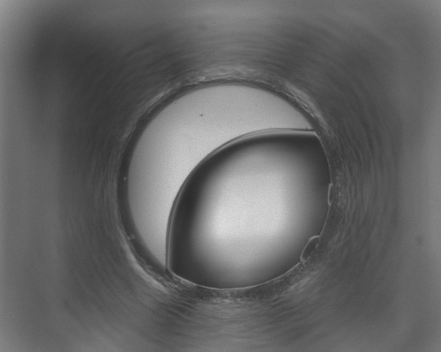 X0000075840538200609150914