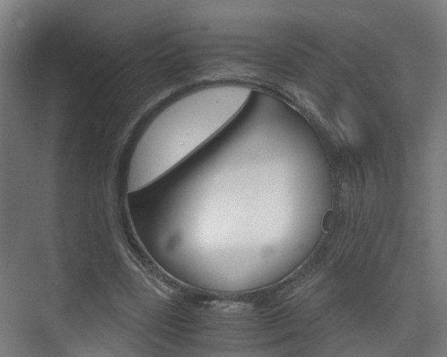 X0000075840539200609150914