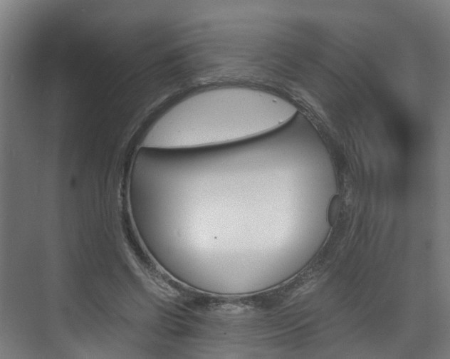 X0000075840542200609150914