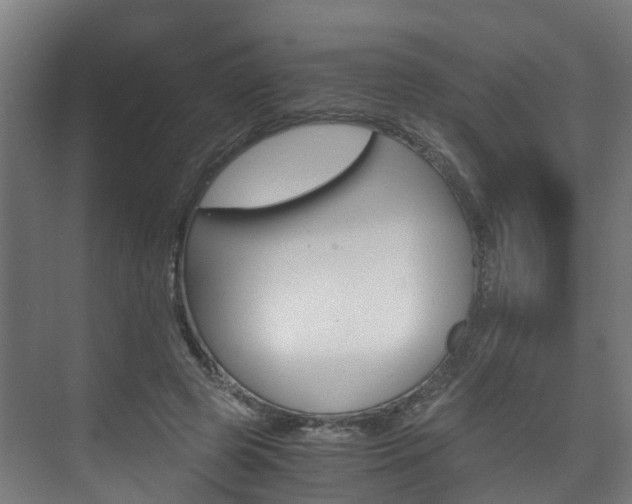 X0000075840545200609150914