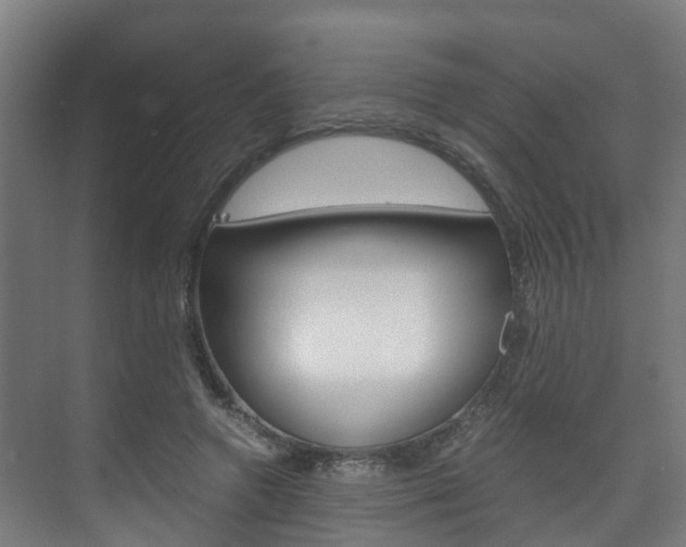 X0000075840546200609150914