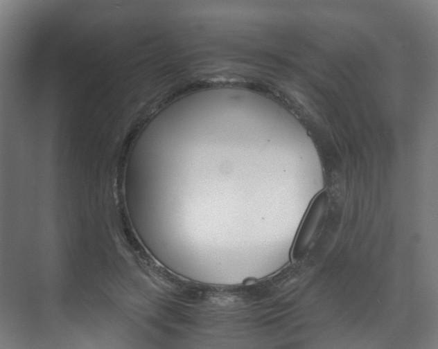 X0000075840547200609150914