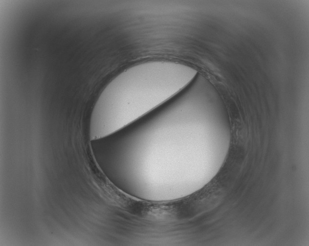 X0000075840550200609150914