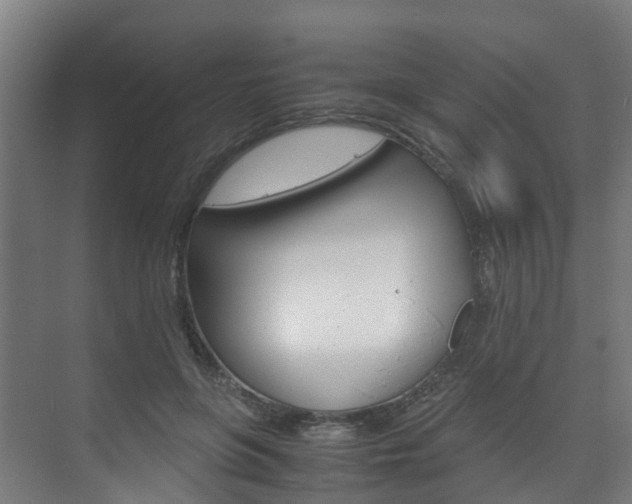 X0000075840551200609150914