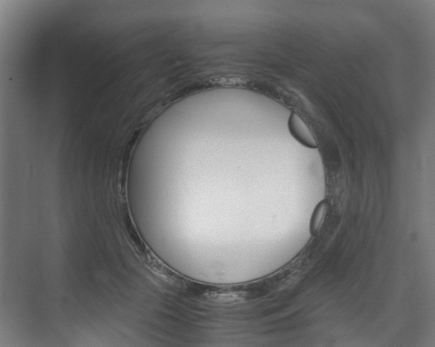 X0000075840553200609150914