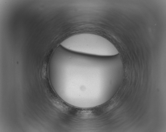 X0000075840554200609150914