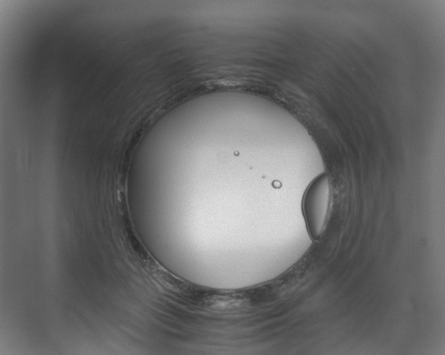 X0000075840555200609150914