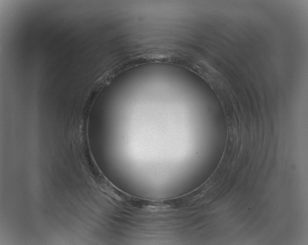 X0000075840556200609150914