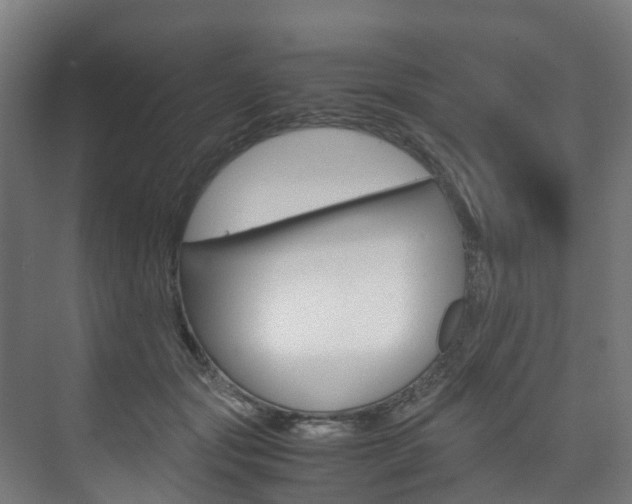 X0000075840557200609150914