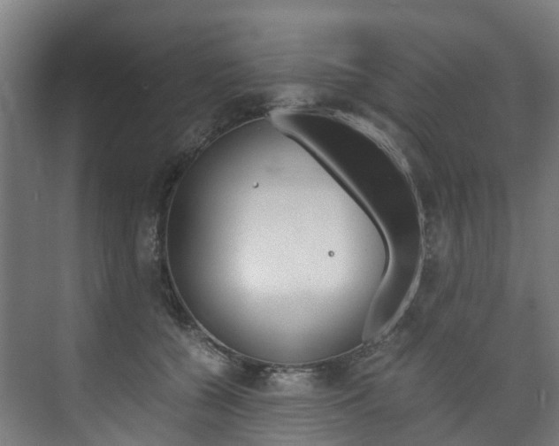 X0000075840560200609150915