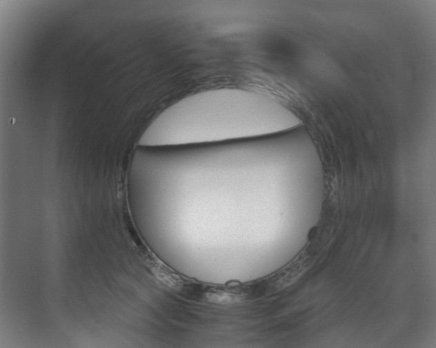 X0000075840561200609150915