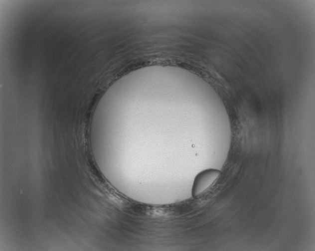 X0000075840565200609150915