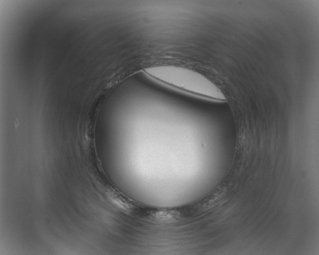 X0000075840566200609150915