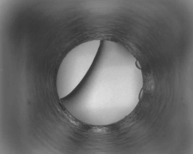 X0000075840569200609150915