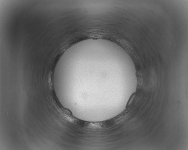 X0000075840573200609150915