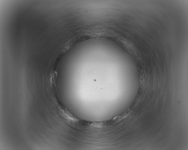 X0000075840574200609150915