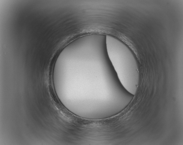 X0000075840578200609150914