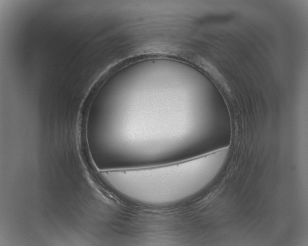 X0000075840580200609150914