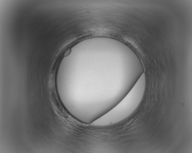 X0000075840583200609150914