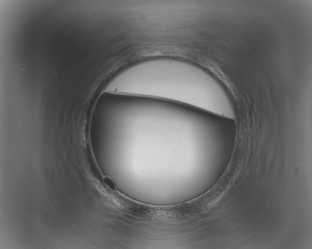 X0000075840585200609150914