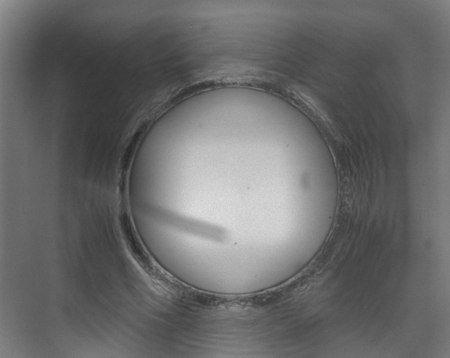 X0000075840586200609150914