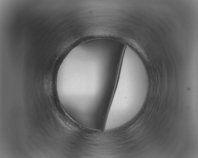 X0000075840588200609150914