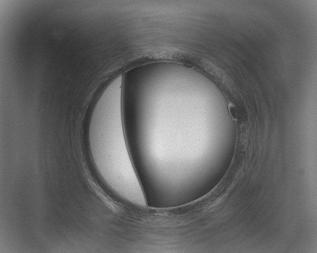 X0000075840589200609150914