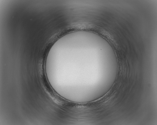 X0000075840590200609150914