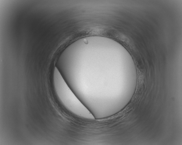 X0000075840591200609150914