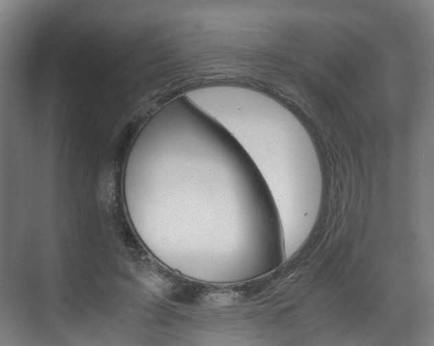 X0000075840595200609150914