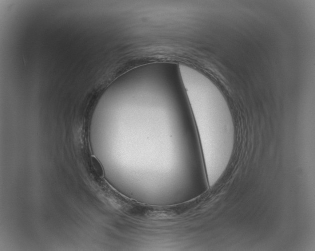 X0000075840597200609150914