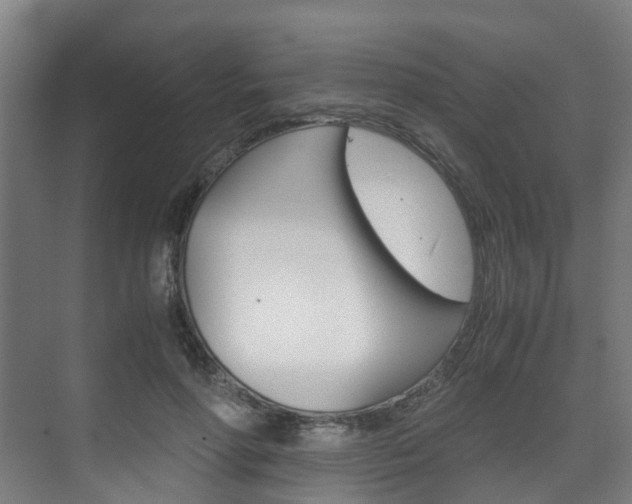 X0000075840598200609150914