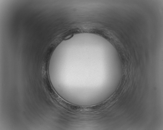 X0000075840599200609150914